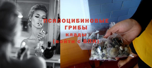 spice Лагань