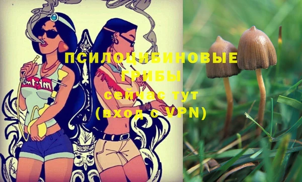 меф Ладушкин