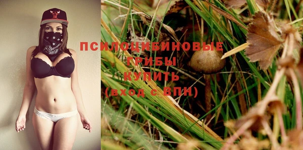 spice Лагань