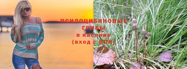 spice Лагань